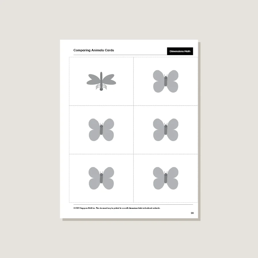 Dimensions Math Home Instructor's Printouts 1B - Blemished - Image 2
