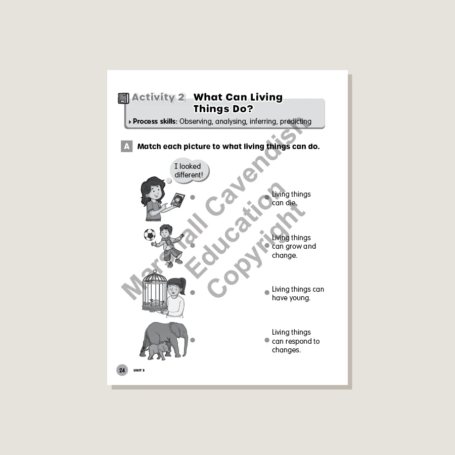 MPH Science Intl (2E) Activity Book Primary 1 - Image 4
