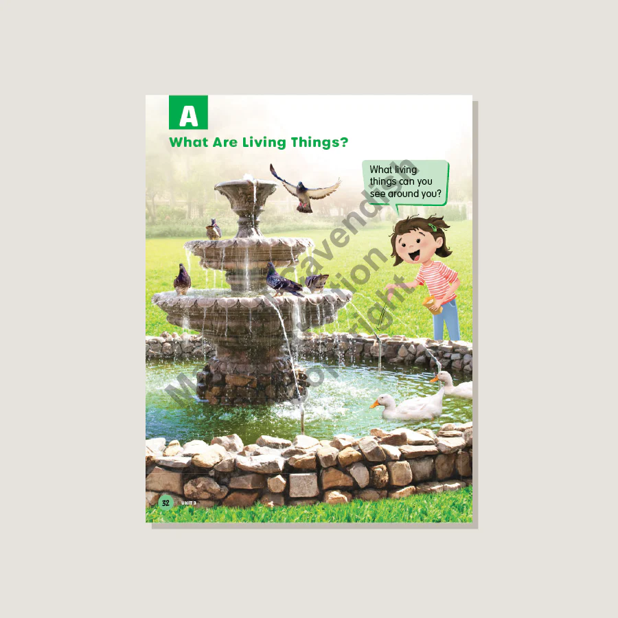 MPH Science Intl (2E) Textbook Primary 1 - Image 4