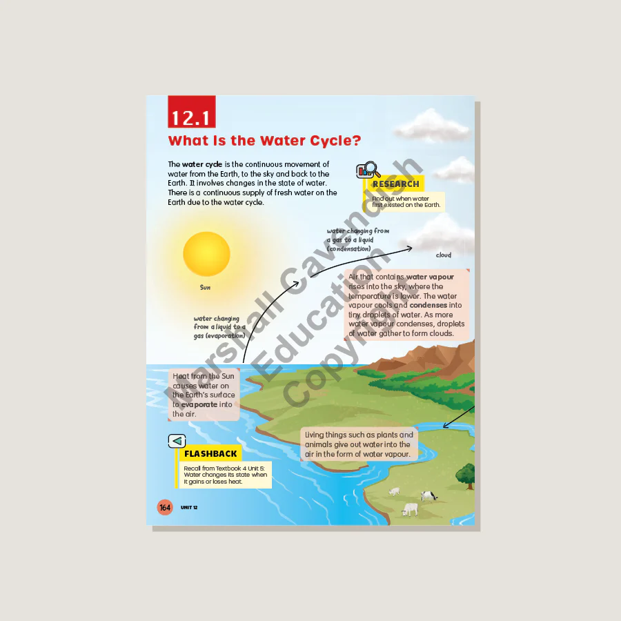 MPH Science Intl (2E) Textbook Primary 5 - Image 3
