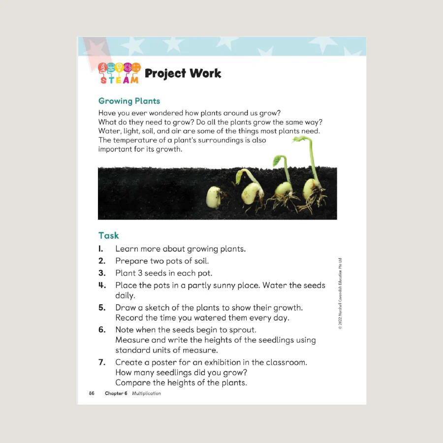 Primary Mathematics Student Book 2B (2022 Edition) - Image 2