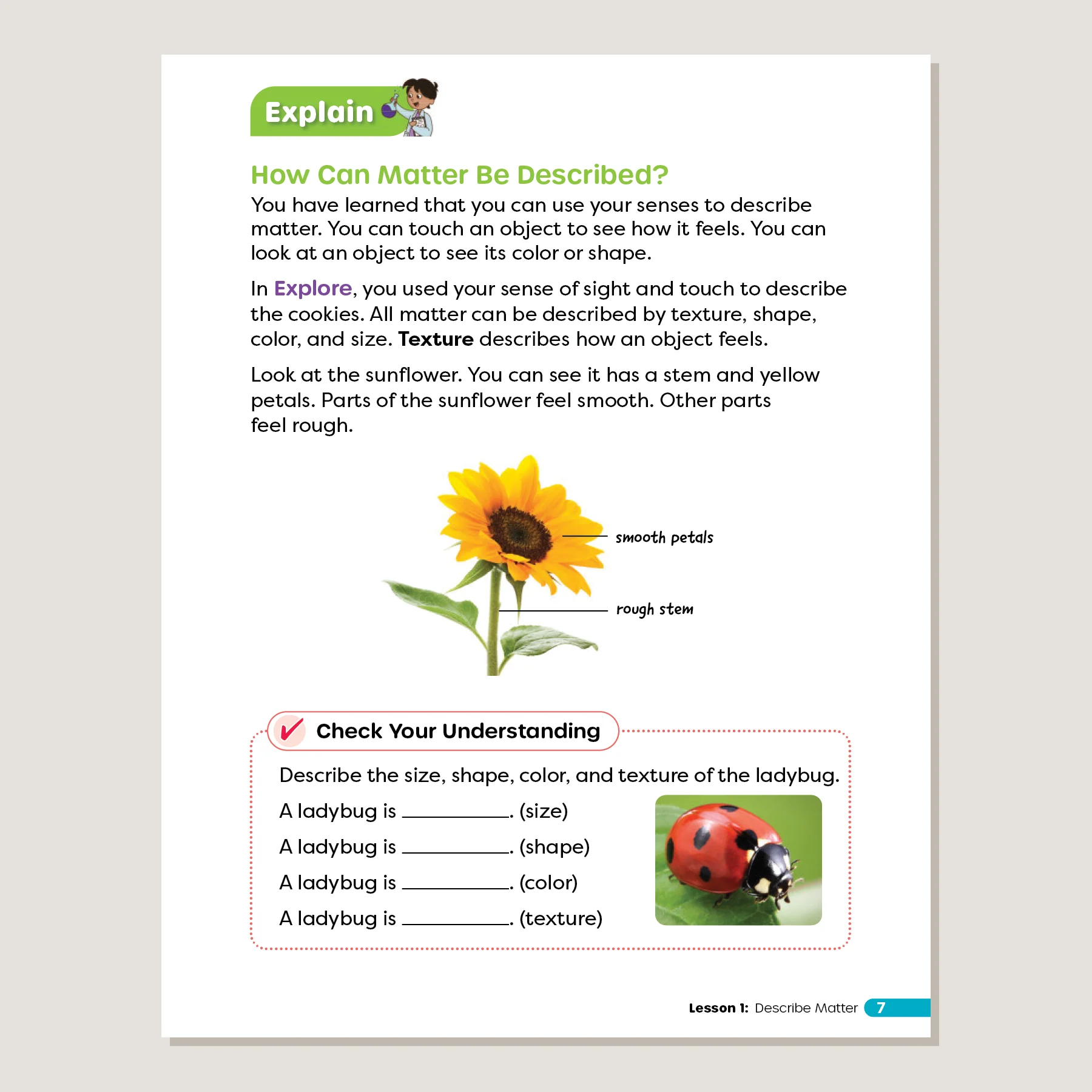 Primary Science Worktext G2A - Image 4