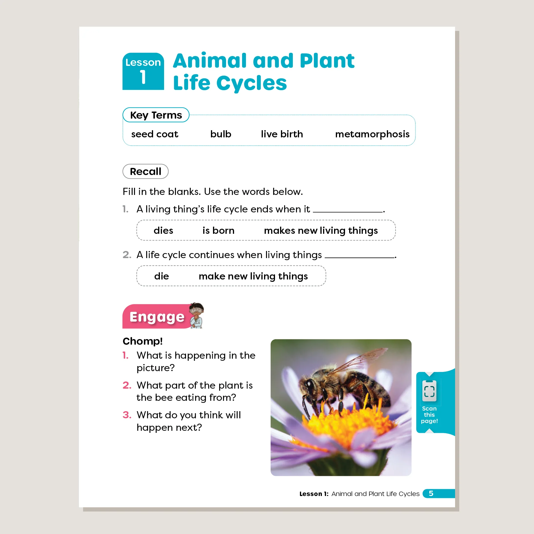 Primary Science Worktext G2B - Image 3