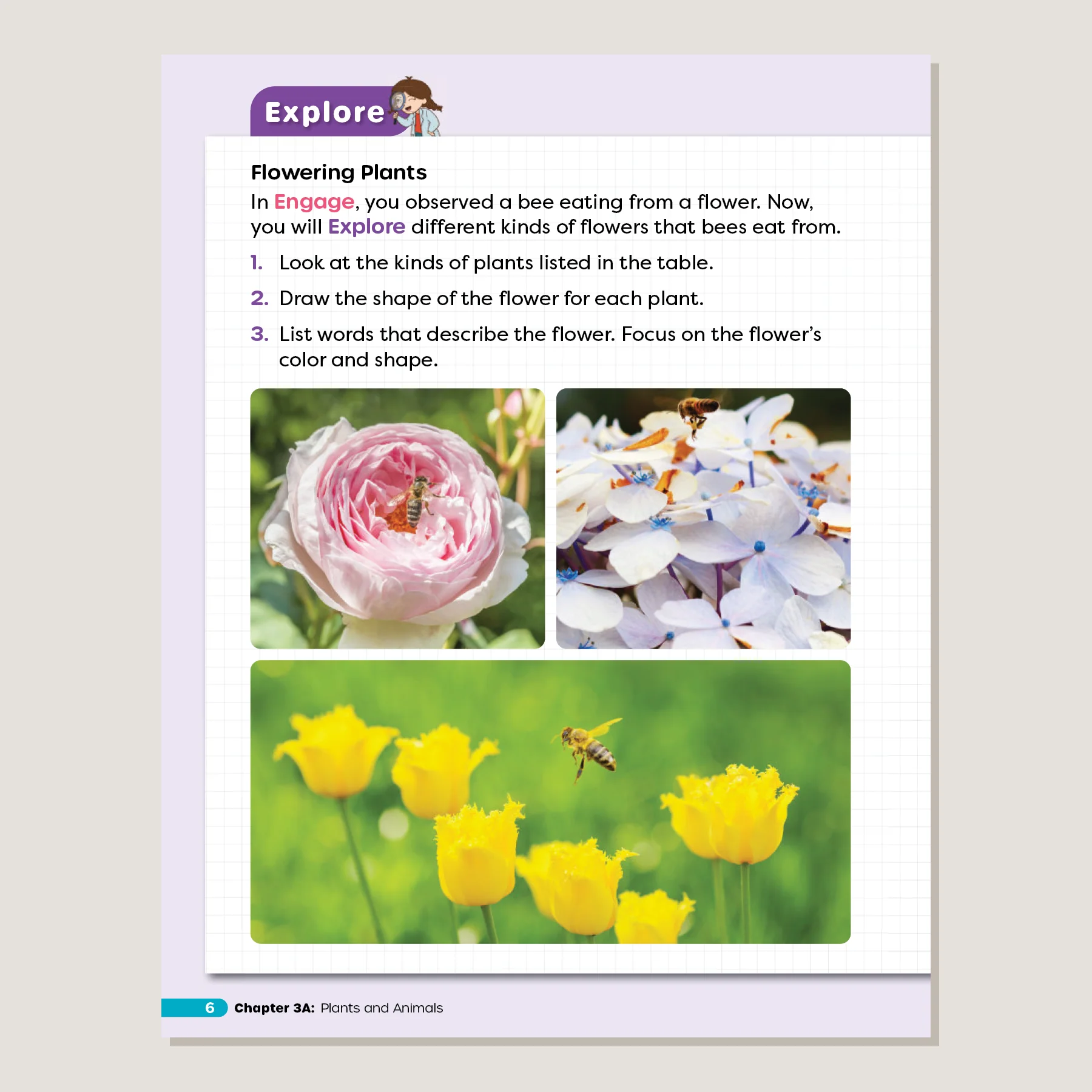 Primary Science Worktext G2B - Image 4