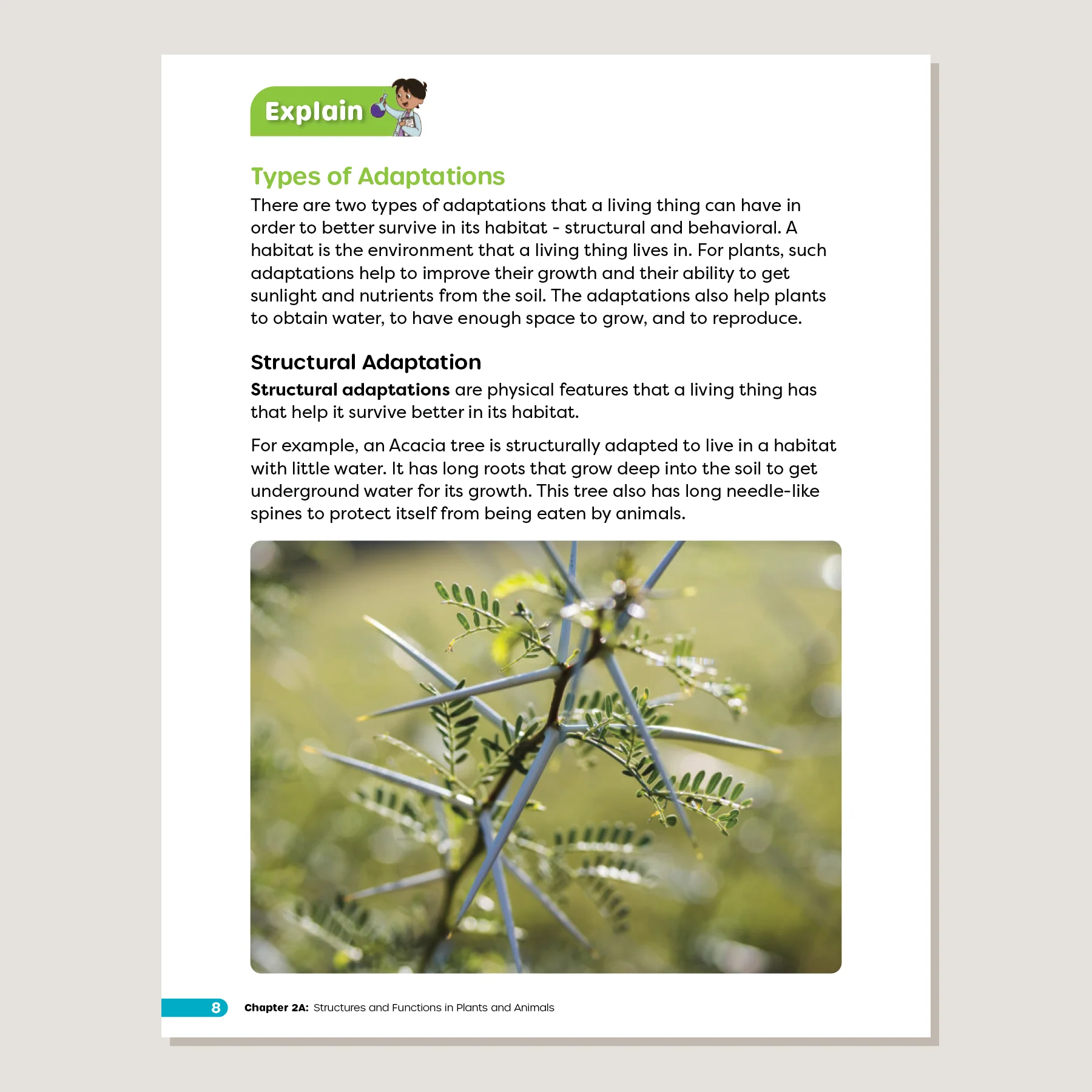Primary Science Worktext G4B - Image 4
