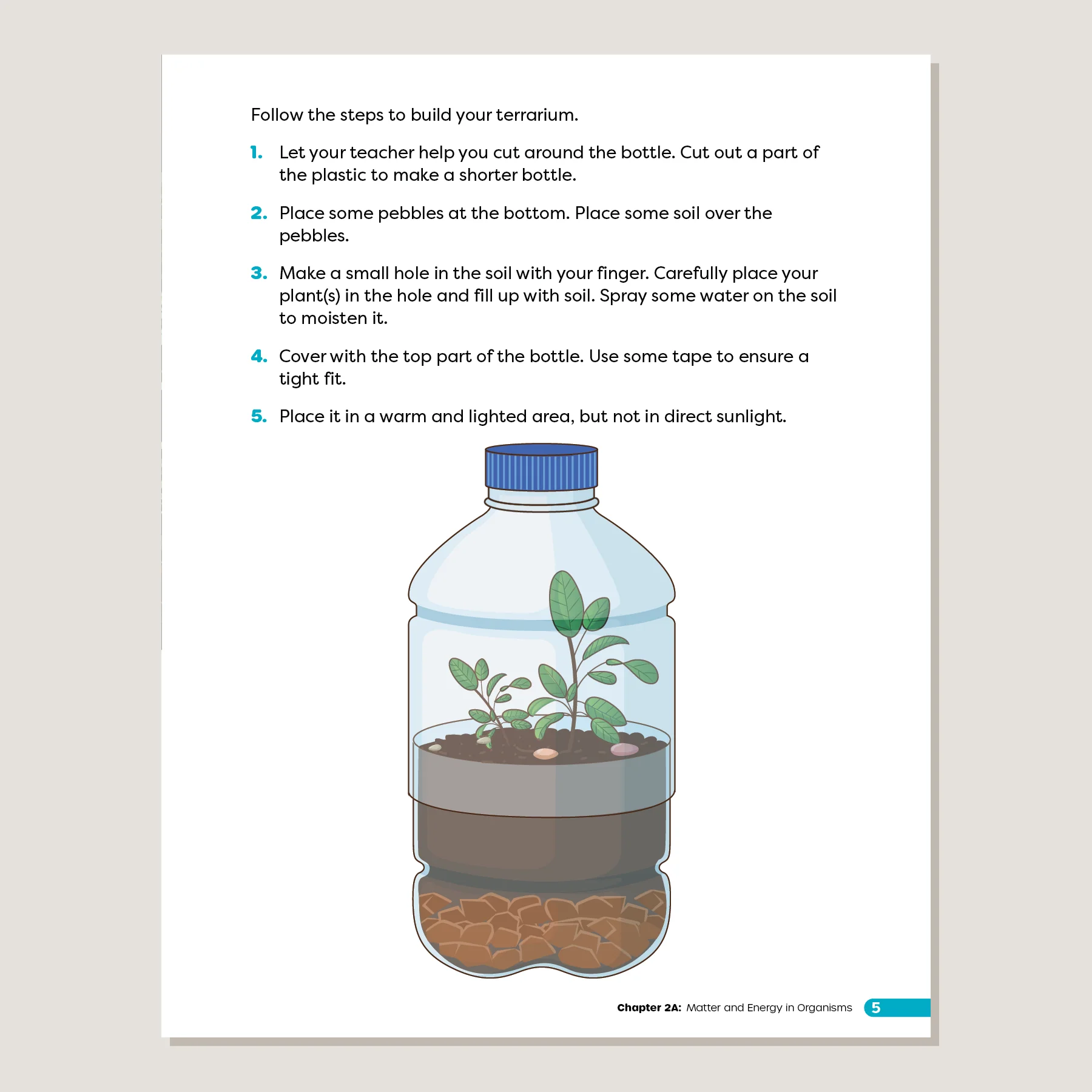 Primary Science Worktext G5B - Image 3