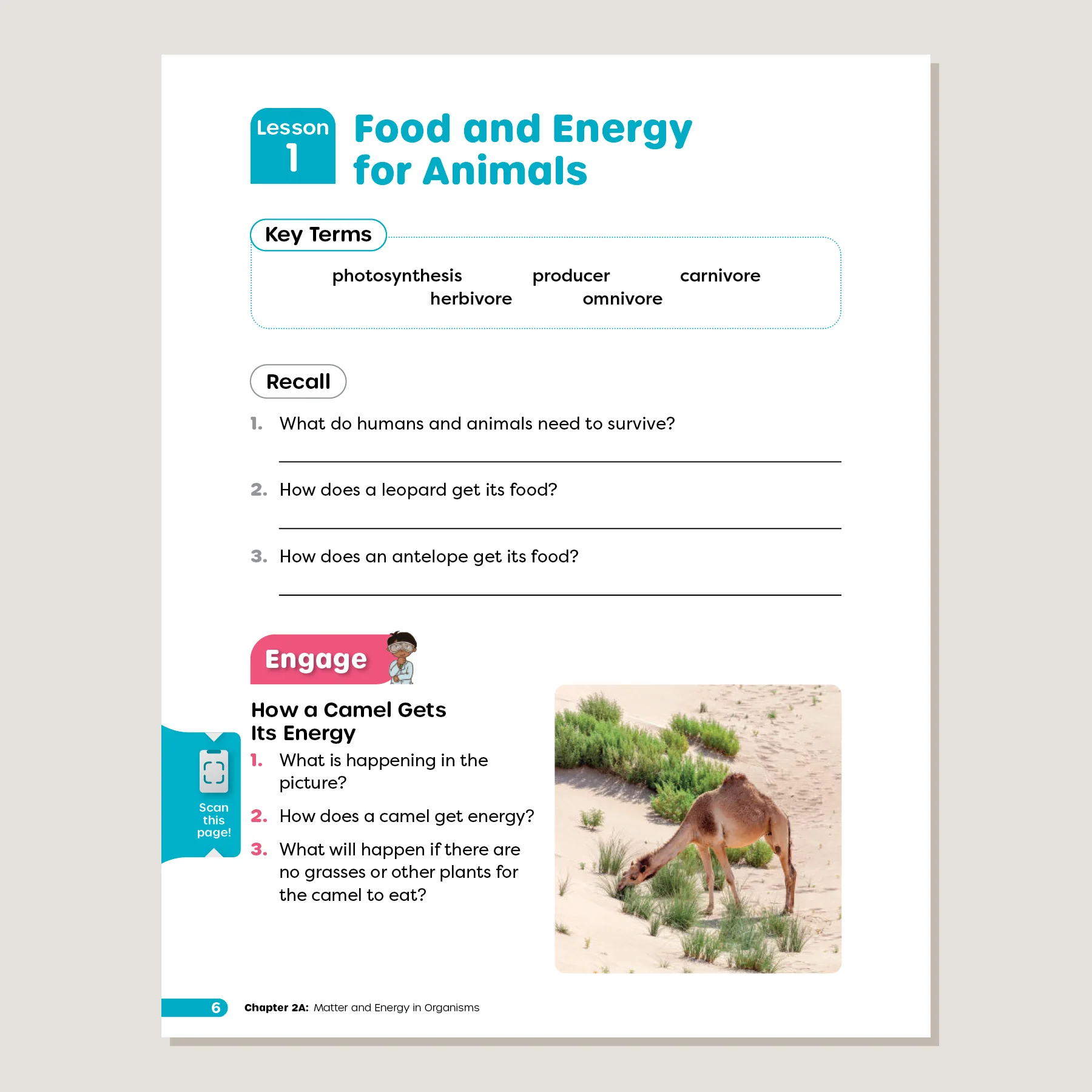 Primary Science Worktext G5B - Image 4