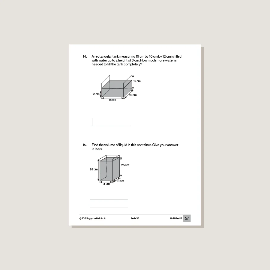 Singapore Math Common Core Tests 5B - Blemished - Image 2