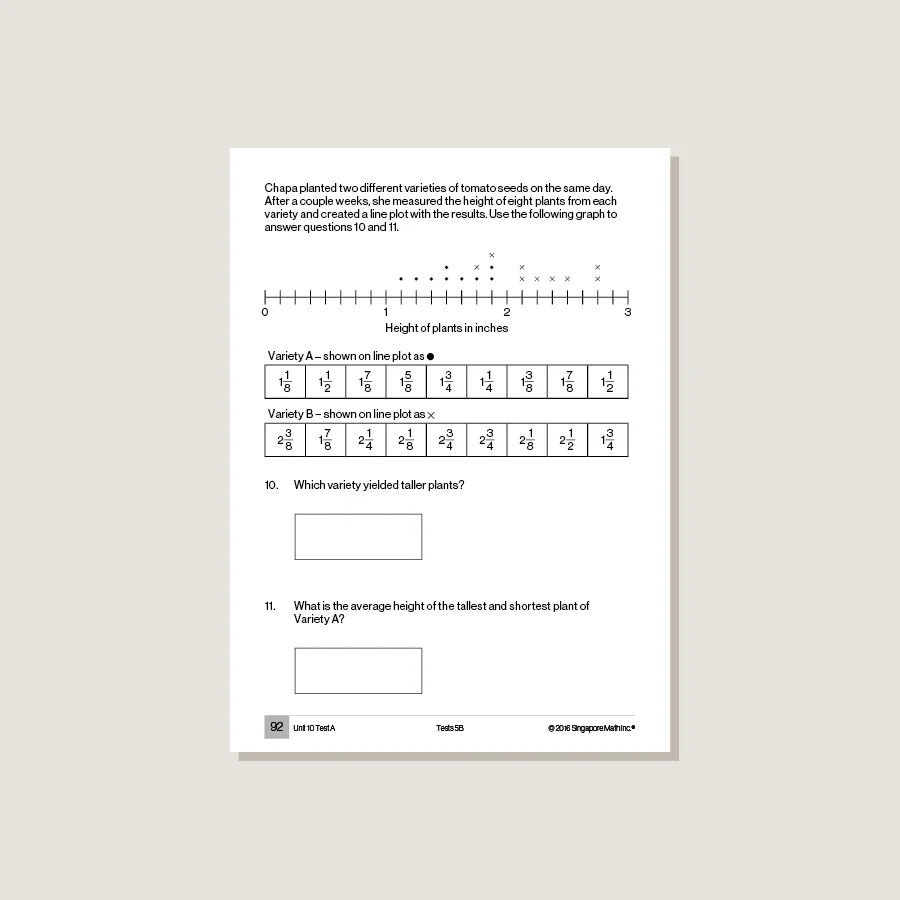 Singapore Math Common Core Tests 5B - Blemished - Image 3